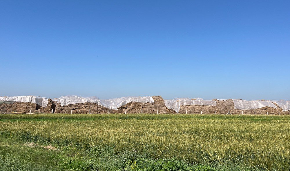 Dry digestion technology for renewable biogas generation