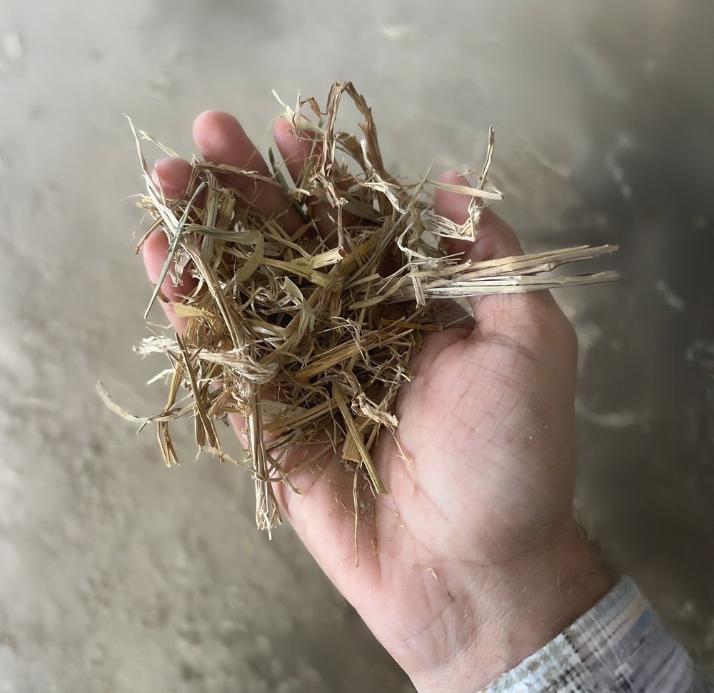 Organic waste-to-biogas technology for renewable energy projects